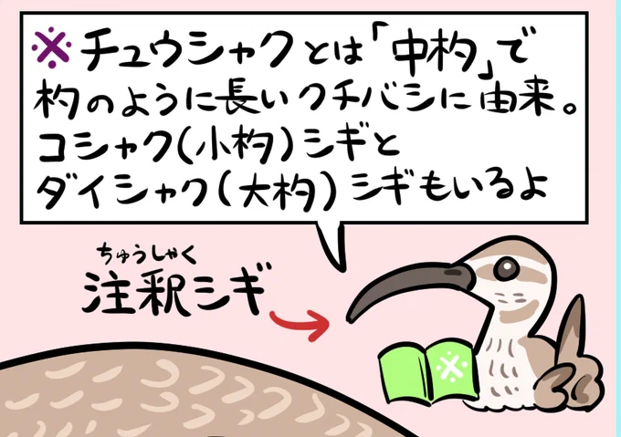 注釈シギ、便利なので今後も登場してもらいたいところだが、何の脈絡もなく出すと注釈シギへの注釈が必要になりそうだからな。 