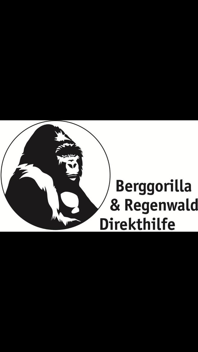 Harambae_nft's tweet photo. We are happy to announce our partnership with @berggorillas 🦍
We are going to donate our WL-earnings directly to the charity 💯 https://t.co/wFLleYtuzZ