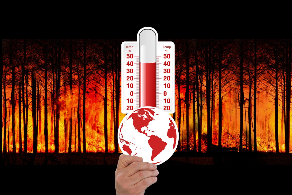 BUNDBrandenburg's tweet photo. #Klimaplan: Landesregierung muss #Restbudget für #Treibhausgase in einem #Klimagesetz festlegen – das fordert heute der BUND Brandenburg gemeinsam mit einem breiten Bündnis aus Zivilgesellschaft, Wirtschaft und Wissenschaft. https://t.co/11mdPCawP4 https://t.co/VeNnYBnBYv