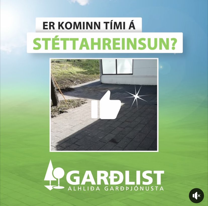 Accidentally left wing