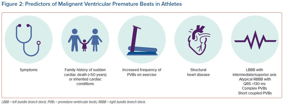 Prof Michael Papadakis tweet media