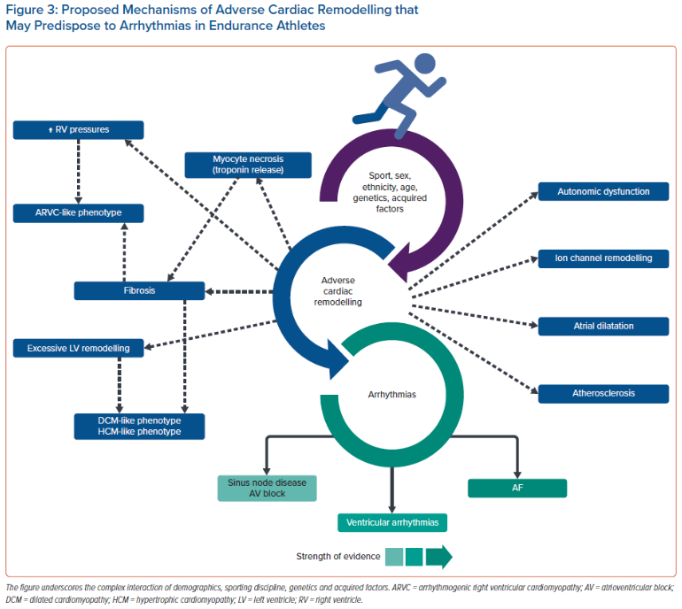 Prof Michael Papadakis tweet media