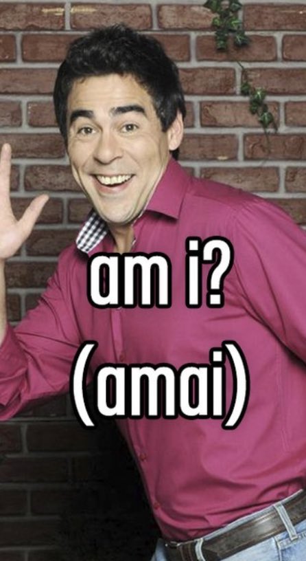 Wikipinchito tweet picture