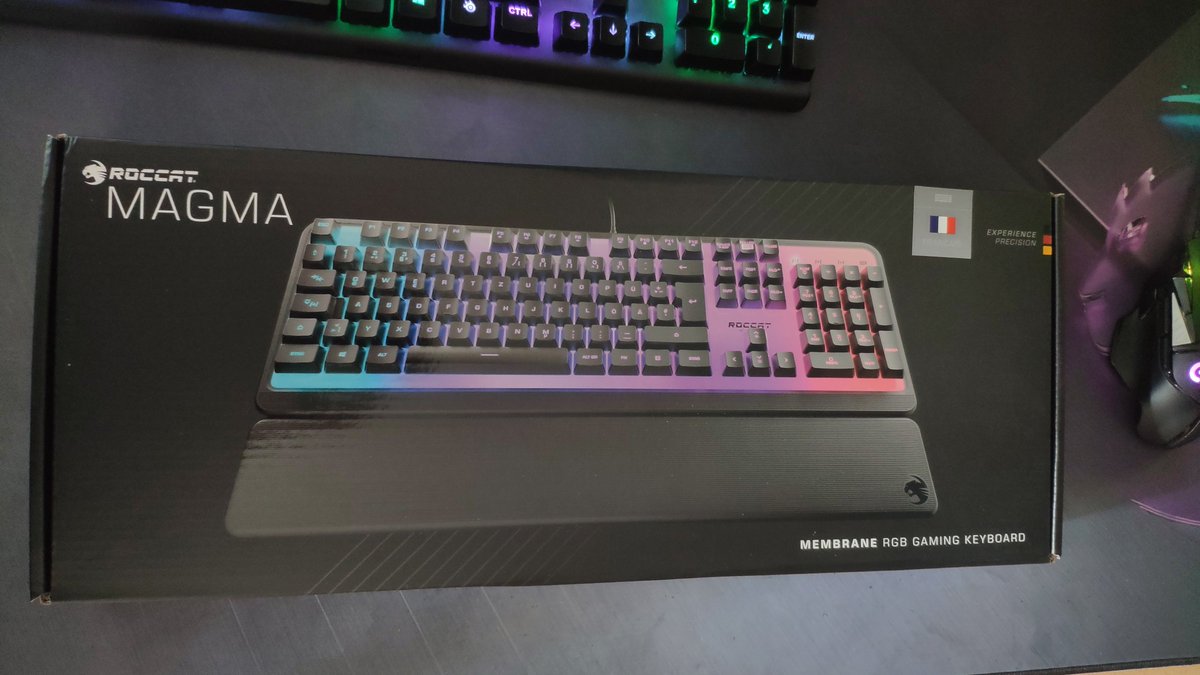 Sɨr Alpha 公 ⭐ tweet media