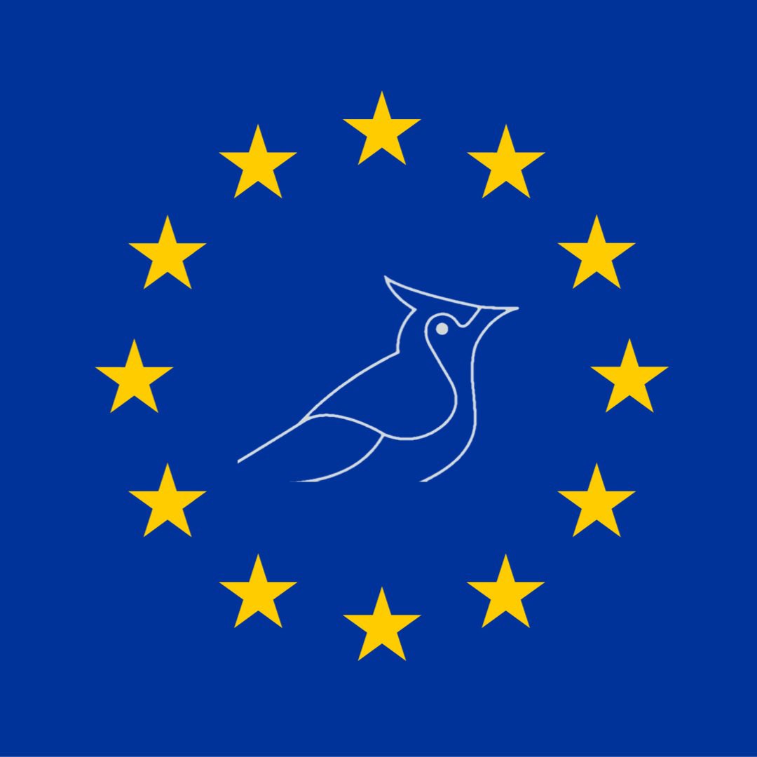 GyLerchenfeld's tweet photo. Heute, am 09. Mai, ist #Europatag, welcher dieses Jahr in Solidarität mit der Ukraine begangen wird. Vor genau 72 Jahren wurde die Schumann-Erklärung vorgestellt, welche als Geburtsstunde dessen gilt, was wir heute die #EuropäischeUnion nennen. https://t.co/blUOSJjyXp