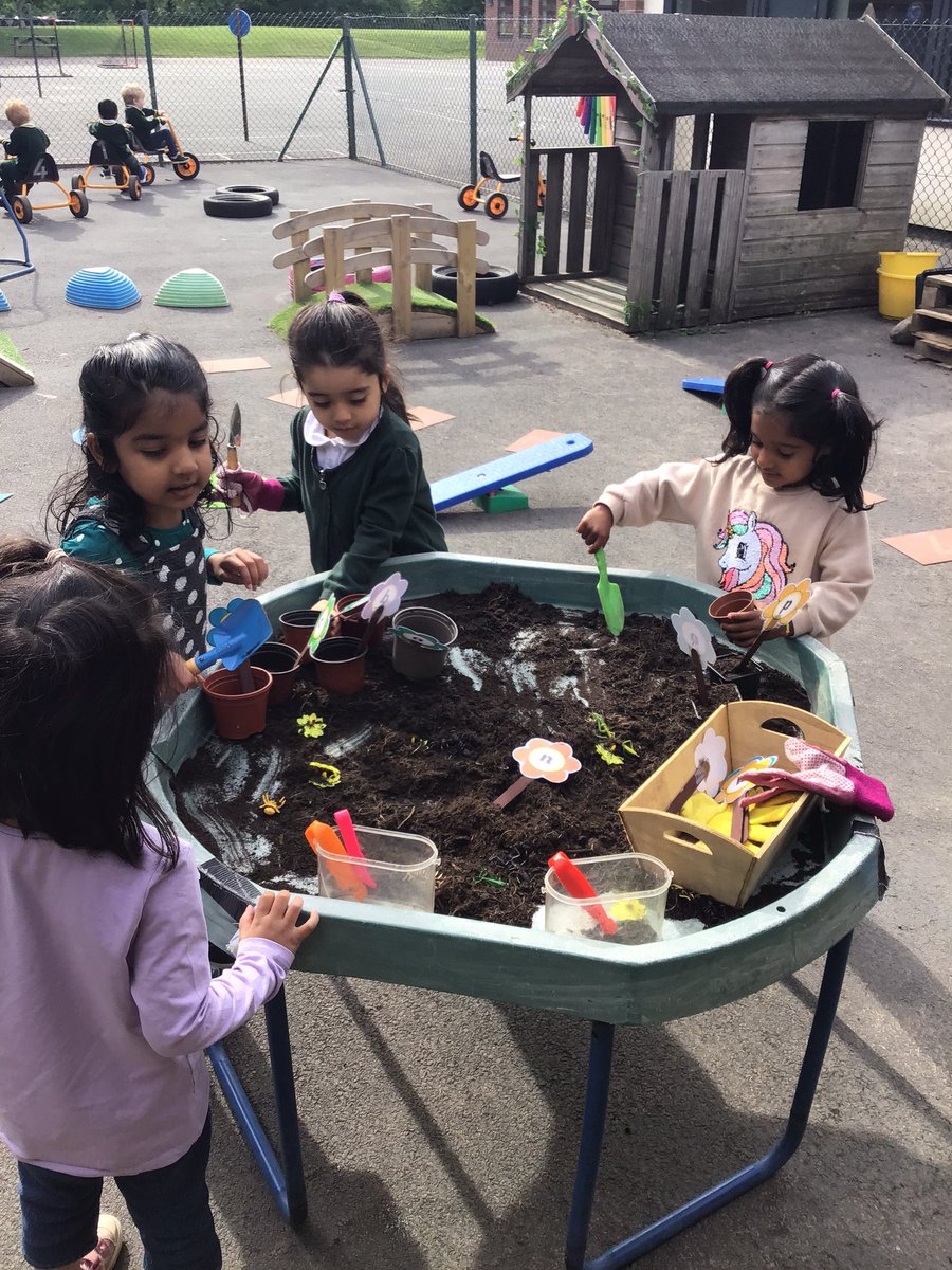 ElmridgeSchN's tweet photo. This week our key text is Jack and the Beanstalk. After planting our sunflower seed last week, I wonder what might be planted this week? #growing #primaryscience @ElmridgeScience https://t.co/9ECoOwXGVY