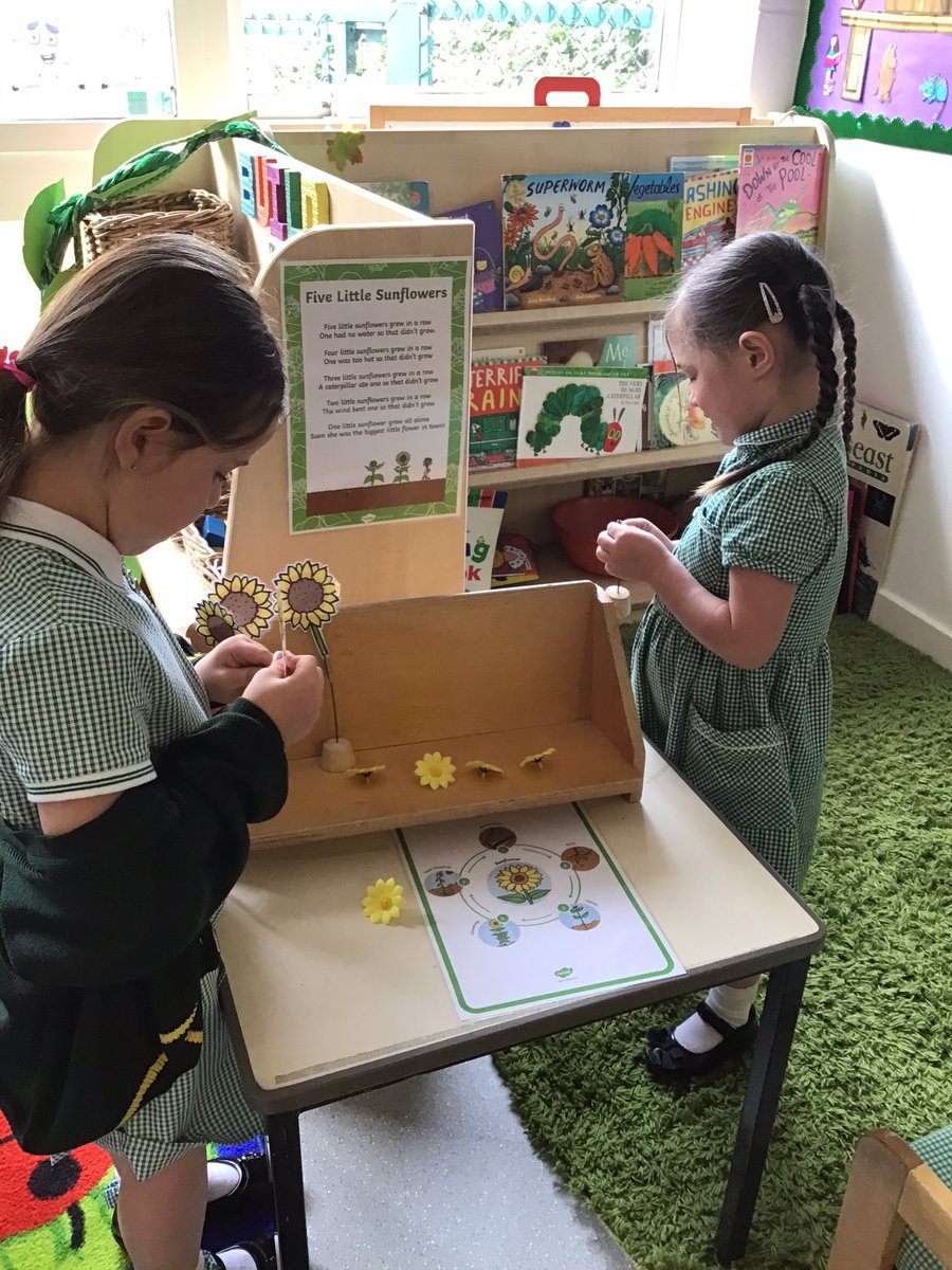 ElmridgeSchN's tweet photo. This week our key text is Jack and the Beanstalk. After planting our sunflower seed last week, I wonder what might be planted this week? #growing #primaryscience @ElmridgeScience https://t.co/9ECoOwXGVY