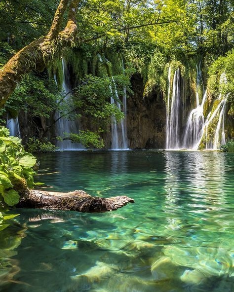 AchesaCheryl's tweet photo. "I think the environment should be put in the category of our national security. Defense of our natural resources is just as important as defense abroad. Otherwise what is there to defend." 
Robert Redford
#WorldEnvironmentDay 
#conservation 
#climate 
#NaturePhotography https://t.co/KQJrw6NFnC