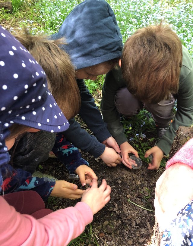 CarrdusYear1's tweet photo. Outdoor adventures and learning about nature! #carrdussschool #scienceoxford https://t.co/UvGO1TFDTB