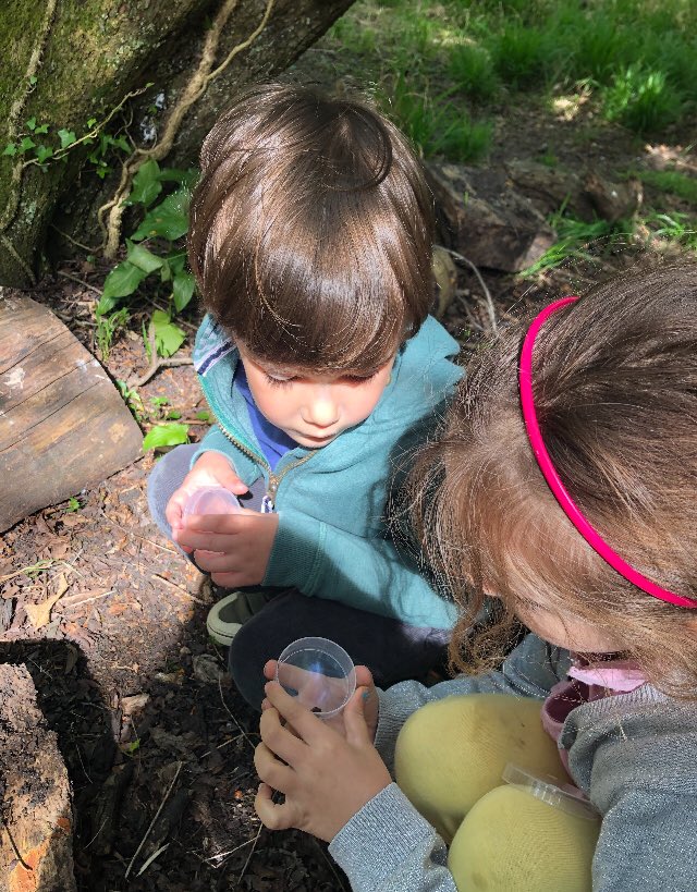 CarrdusYear1's tweet photo. Outdoor adventures and learning about nature! #carrdussschool #scienceoxford https://t.co/UvGO1TFDTB