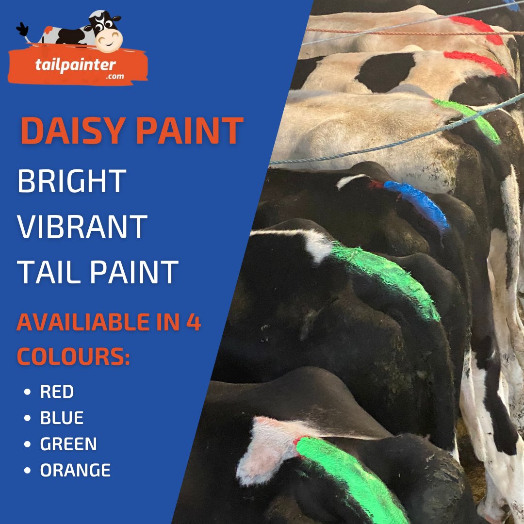 tailpainter's tweet image. Daisy Paint comes in four different bright vibrant colours - red, blue, green and orange! 🎨 
Never miss a heat detection with Daisy Paint excellent quality water based paint that is very easily topped up and doesn't wash off in the rain! 💪

 #heatdetection #dairyfarming