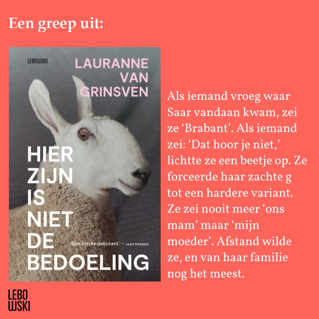 LebowskiBooks's tweet photo. Benieuwd naar meer van deze ontroerende en geestige debuutroman van @lrnnvg? Bekijk onze website: https://t.co/Gb2SJ4y6QH.

#hierzijnisnietdebedoeling #laurannevangrinsven #voorproefje #verwacht #lebowskipublishers #overamsteluitgevers #sudderlappenmetspekjus https://t.co/InvKSRhpOt