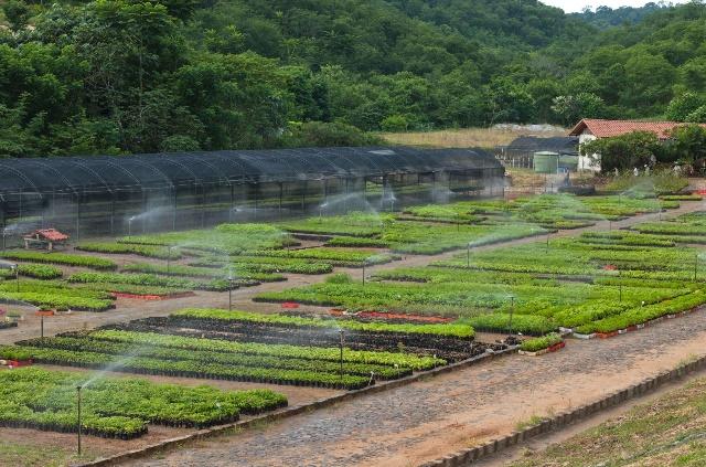 CrowtherLab's tweet photo. How a family is bringing the #AtlanticForest back to life in the Rio Doce #Watershed, Minas Gerais, #Brazil 🌱👇
https://t.co/HMMeRx5zTO #restories #forestrationints #GenerationRestoration #restoration #ecosystems https://t.co/OnllawPnwX
