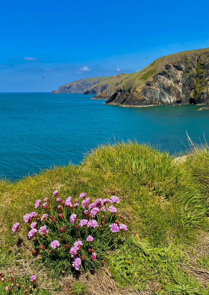 Aled Hall 🏴󠁧󠁢󠁷󠁬󠁳󠁿 tweet media