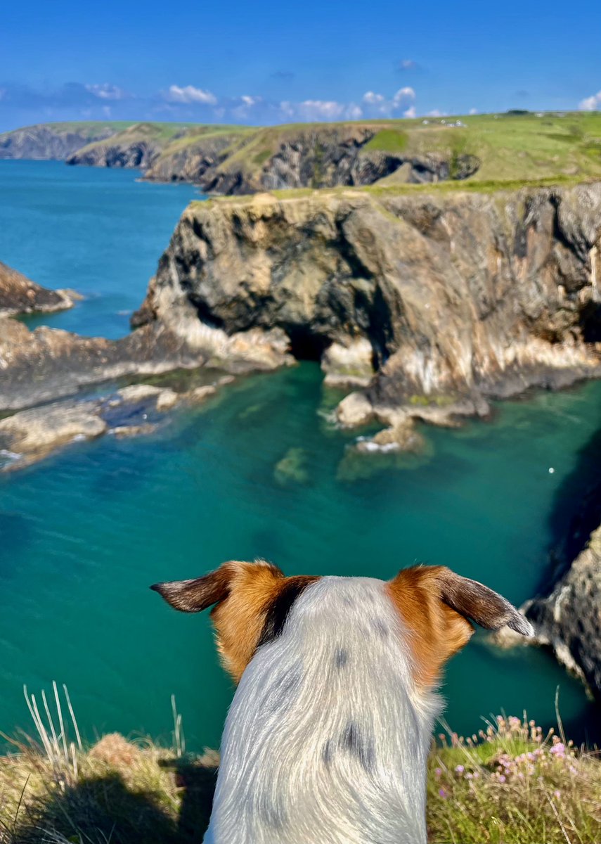 Aled Hall 🏴󠁧󠁢󠁷󠁬󠁳󠁿 tweet media