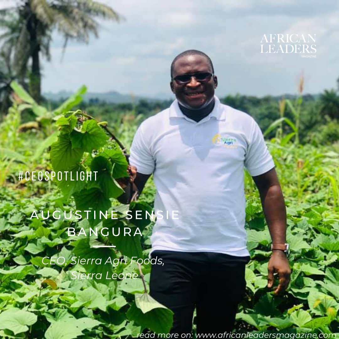 AfricaLMagazine's tweet photo. "We have an integrated #farmer cooperative model that supplies and trains our farmers - mostly #women and #youth - and allows them an #economic reward inspired by our #philosophy of “Shared Prosperity”" @asbangura1 exclaimed. 

More;
https://t.co/uhZVxVuh3H

#africatotheworld https://t.co/f7gfftmp5k
