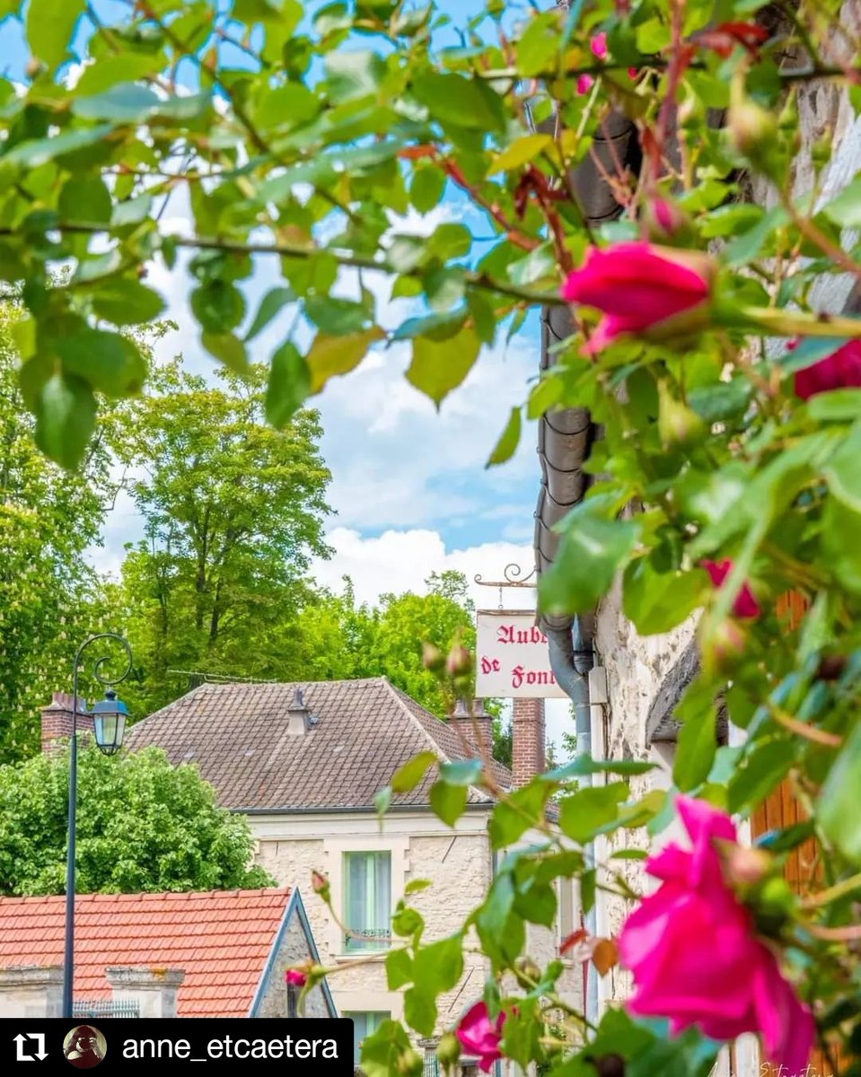 CD_oise's tweet photo. #BelleOise 📸
Partez à la découverte de la commune de Fontaine-Chaalis 😍🌹
📸 anne_etcaetera sur #Instagram
Toutes les plus belles photos de l'Oise à retrouver sur notre compte 👉 https://t.co/oz86xez3fK https://t.co/TuqBNdKC95