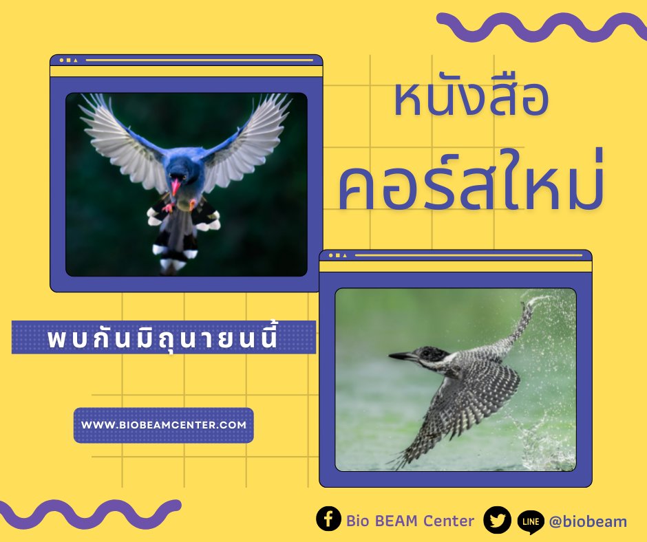 biobeam's tweet photo. น้าบีมอัพเดทคอร์สใหม่ หนังสือใหม่~
พร้อมออนไลน์ 1 มิถุนายน 2565
ซื้อคอร์สได้แล้ววันนี้

https://t.co/Bcj0ztfboE

"ปัญญาย่อมเกิดจากการใช้งาน" สวัสดีค่ะ
#ไบโอบีม #น้าบีม #ชีวะ #ติวชีวะ #หมอพิชญ์ https://t.co/Vl2TzscQYu