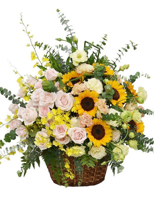 CASHBACKPRO102's tweet photo. πππ Congratulations to Leader Pham Tuyen & Nguyen Hanh on officially becoming the 6th Millionaire at CBP.
π Reward:
1. Gold Badge PIN
2. Congratulations flowers
Best regards!
#CBP #Cashbackpro #Shoptoearn #Shoptoearn_cbp https://t.co/T7urBonbu2