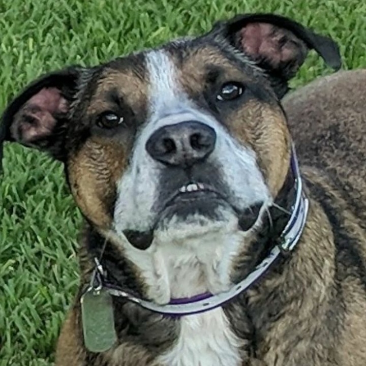 Bill Person tweet media