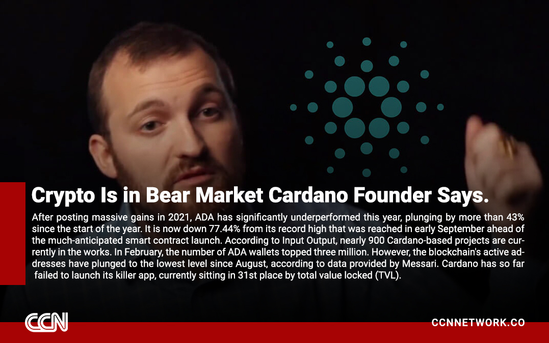 #cryptocurrency #bearmarket