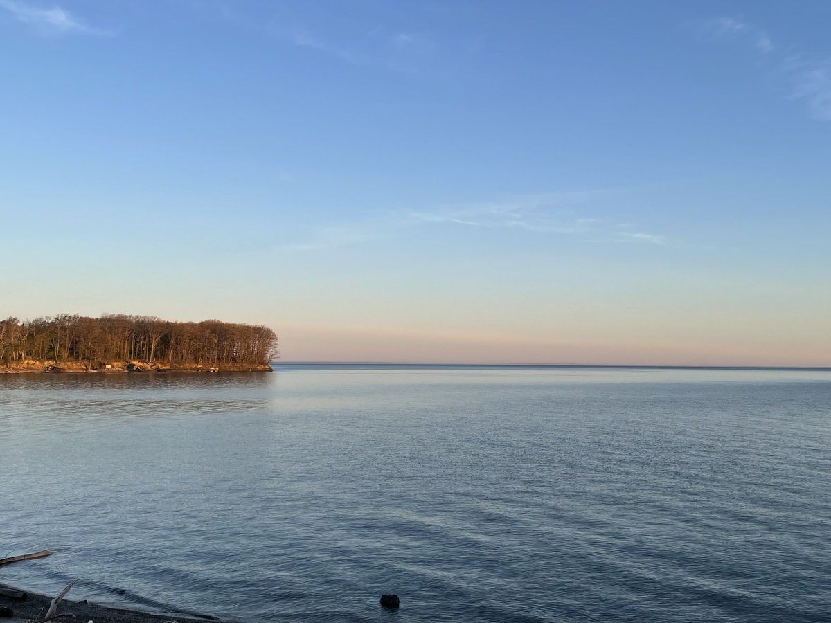 David Kinkela tweet media