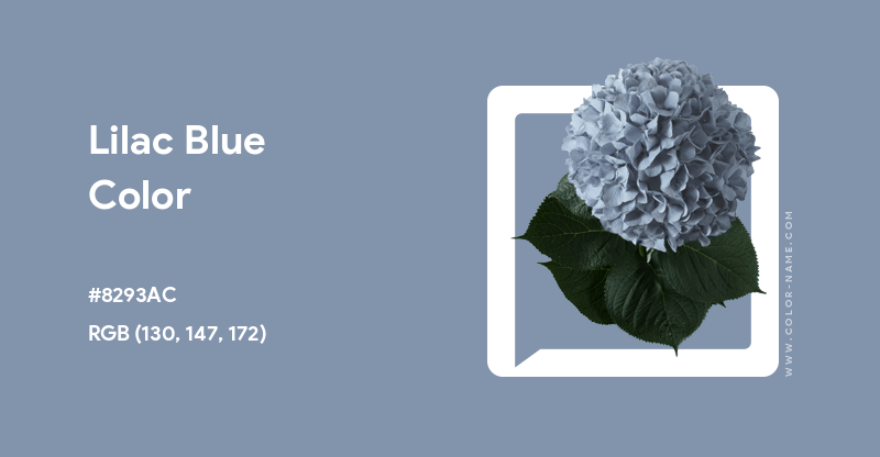 EnsColorClub's tweet photo. Lilac Blue Color
https://t.co/R07SsBDBbf

#ENS #EnsColorClub #NFT #HexColor #Color #Brocade #Blue https://t.co/kcbbiyUaHt
