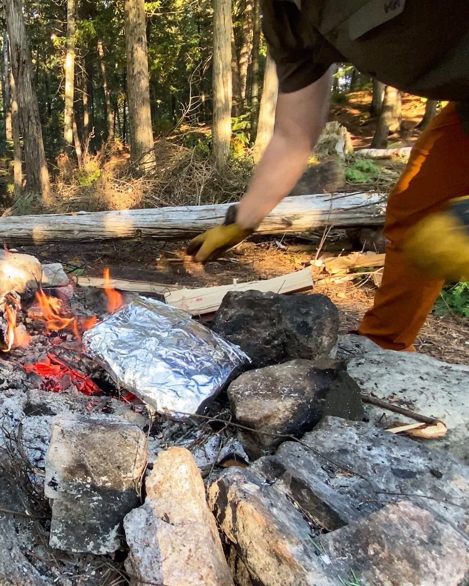MartyMorissett3's tweet photo. One of the easiest meal you can make on a camping trip. Veggies in foil and steaks cooked over the coals!
If you have never cooked over fire, this is a great place to start.
#camping #campingmeals #canoecamping #canoetrip #canoetripping #cooking #cookingonfire #steak #camp https://t.co/YG6Js5bVOS
