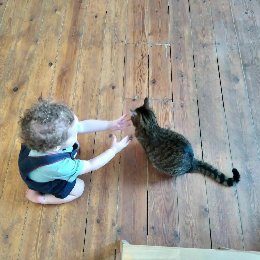 Morgane Leeloo Perséphone Lafay tweet media