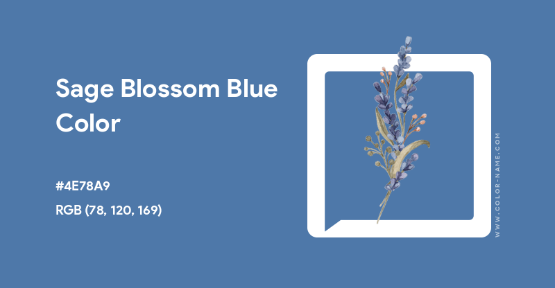 EnsColorClub's tweet photo. Sage Blossom Blue Color
https://t.co/f6VbB2s93X

#ENS #EnsColorClub #NFT #HexColor #Color #Sage #Blossom #Blue https://t.co/TdqV6eOvEg