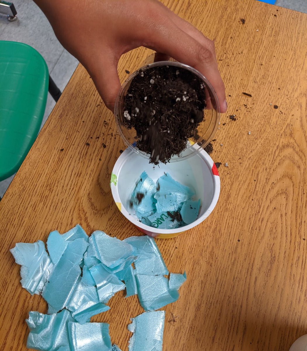 We upcycled our breakfast cereal containers into planters. Ss used an old styrofoam egg carton for drainage, preventing the plastic and styrofoam from going into the landfill! <a href="/Benton_STEM/">Benton Elementary</a> 

#ReduceReuseRecycle #upcycle #plants #STEM