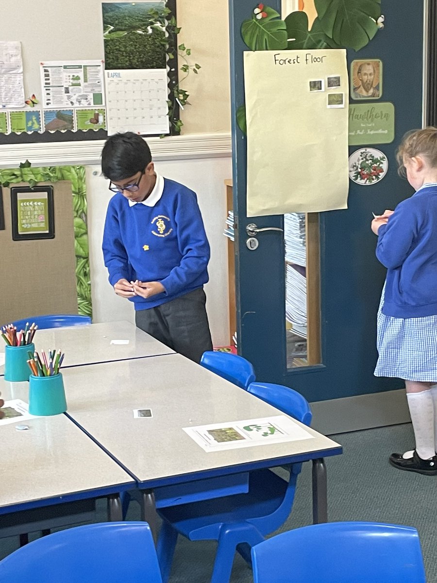 stjosephskly's tweet photo. Hawthorn Class are learning about the different layers of the rainforest. Can you match your photograph to the correct layer? #teamhawthorn #rainforesttopic https://t.co/UcWHucRvhv
