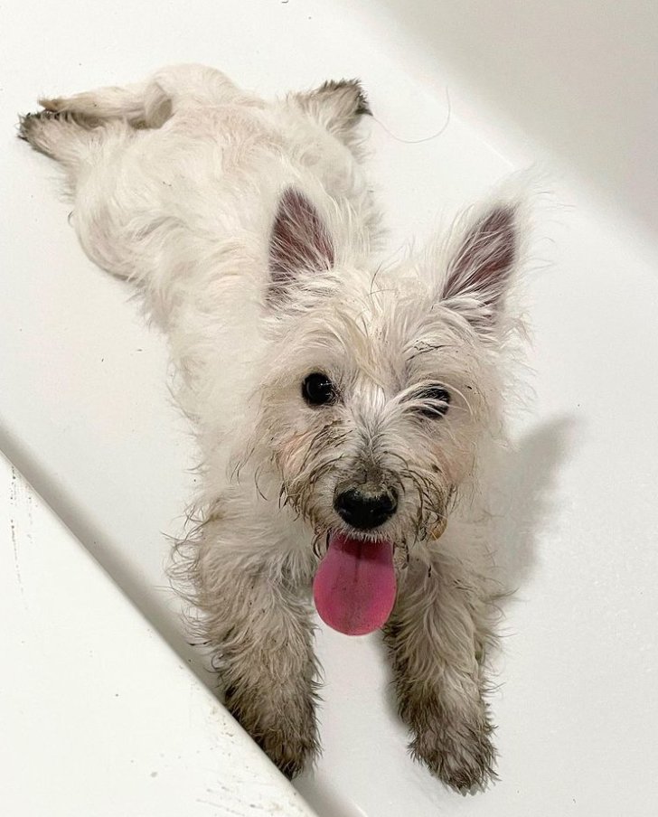 You're like the bitcoin I worry about every day, it needs a bath 😂.
#bitcoin, #ethereum.