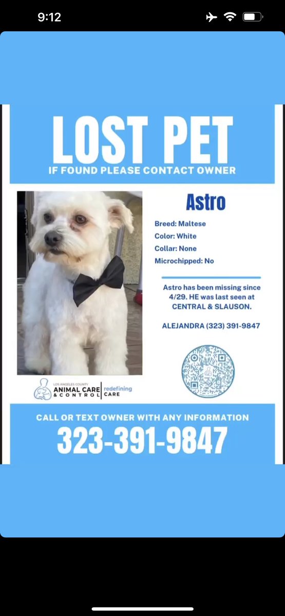 My friend’s dog is still lost :( please REPOST to ge this baby back to his family.
