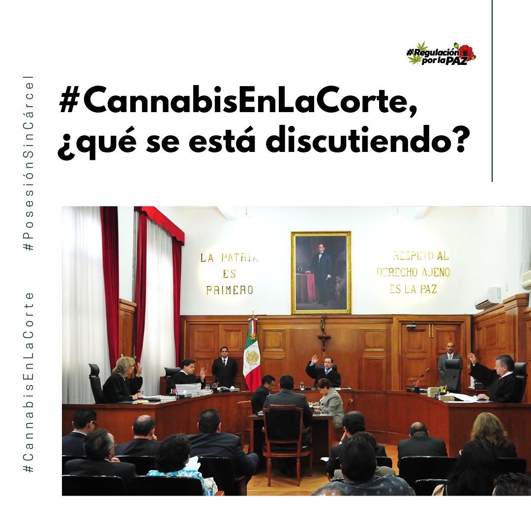 regulacionxpaz's tweet photo. #CannabisEnLaCorte 🚩 

¿Sabes qué proyecto se retomará este miércoles en la @SCJN? Te contamos los posibles escenarios, de qué forma nos afectaría su aprobación como personas usuarias y cómo presionar.

¡Abrimos 🧵! https://t.co/CmQNuUZKRZ