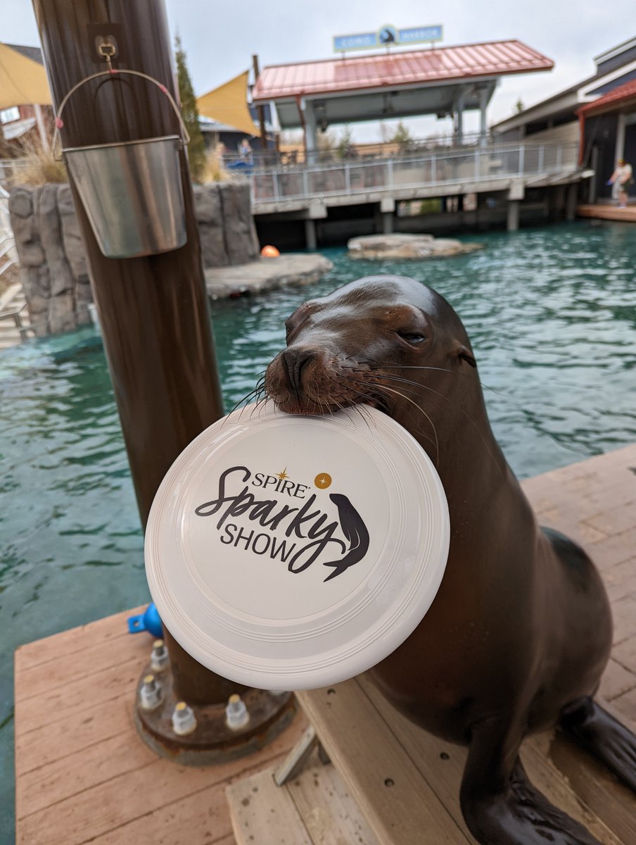 Como Friends tweet media