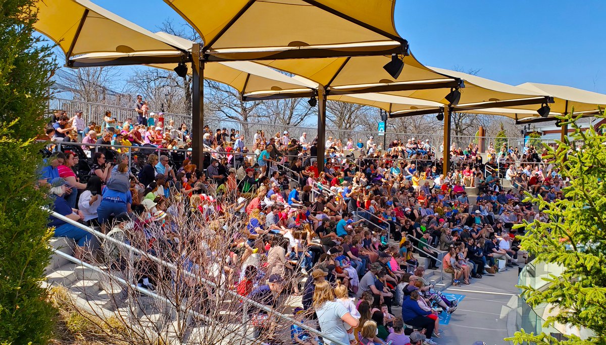 Como Friends tweet media