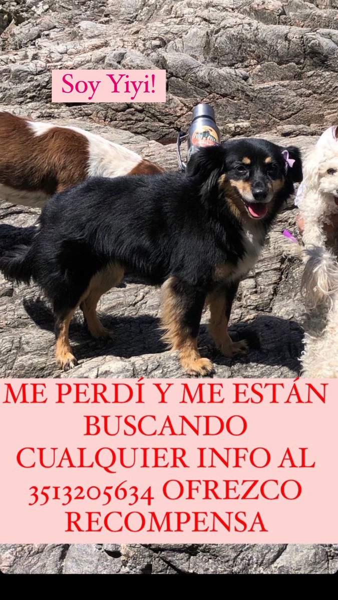 LourdesLadron's tweet photo. Zona cerro urca escobar y aledaños https://t.co/jhHYywqK0o