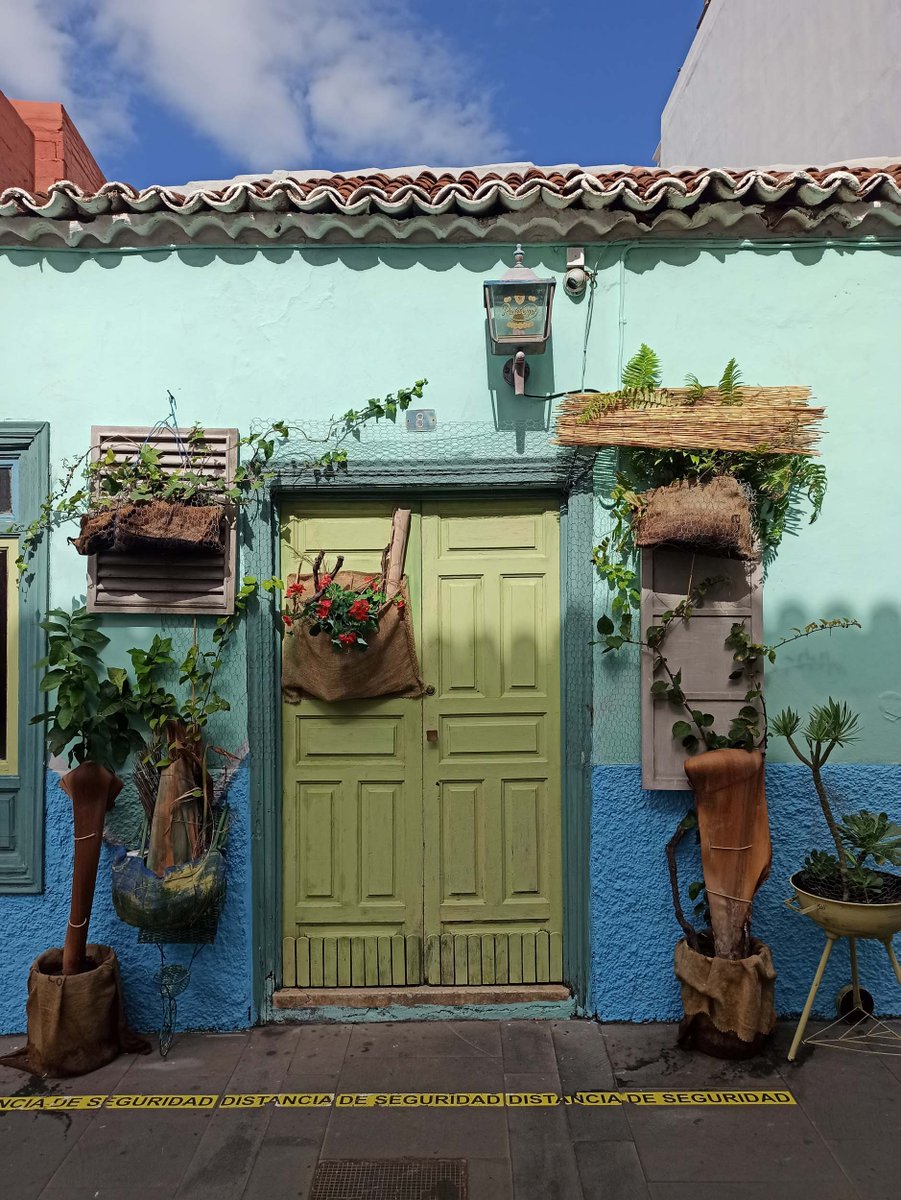 🚪nftano.club tweet media