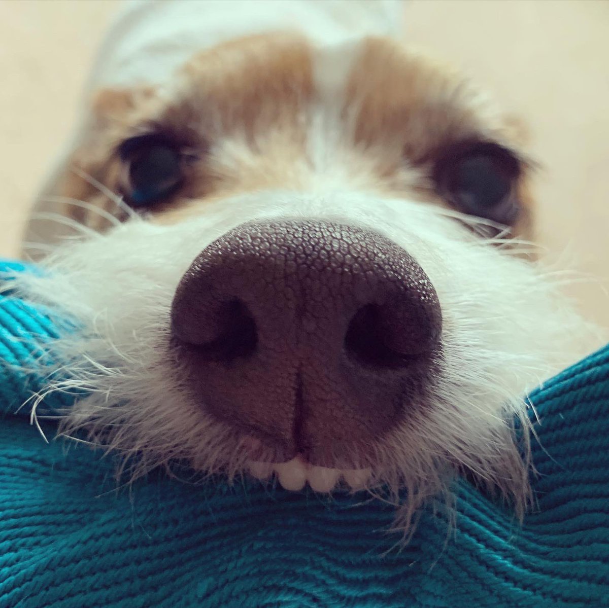 Ryan Cloud tweet media