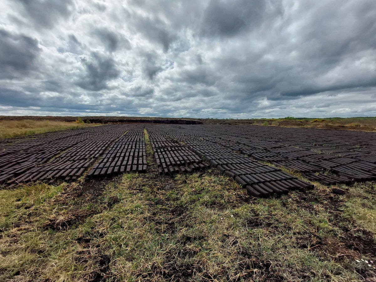 PStafford82's tweet photo. Recently moved to Galway and get to walk the local bog every day. A picturesque industry if anything. Shame it could all be gone in a few years time #irishbogs #irishtraditions #turf #menlough https://t.co/r9CWUb9BQj