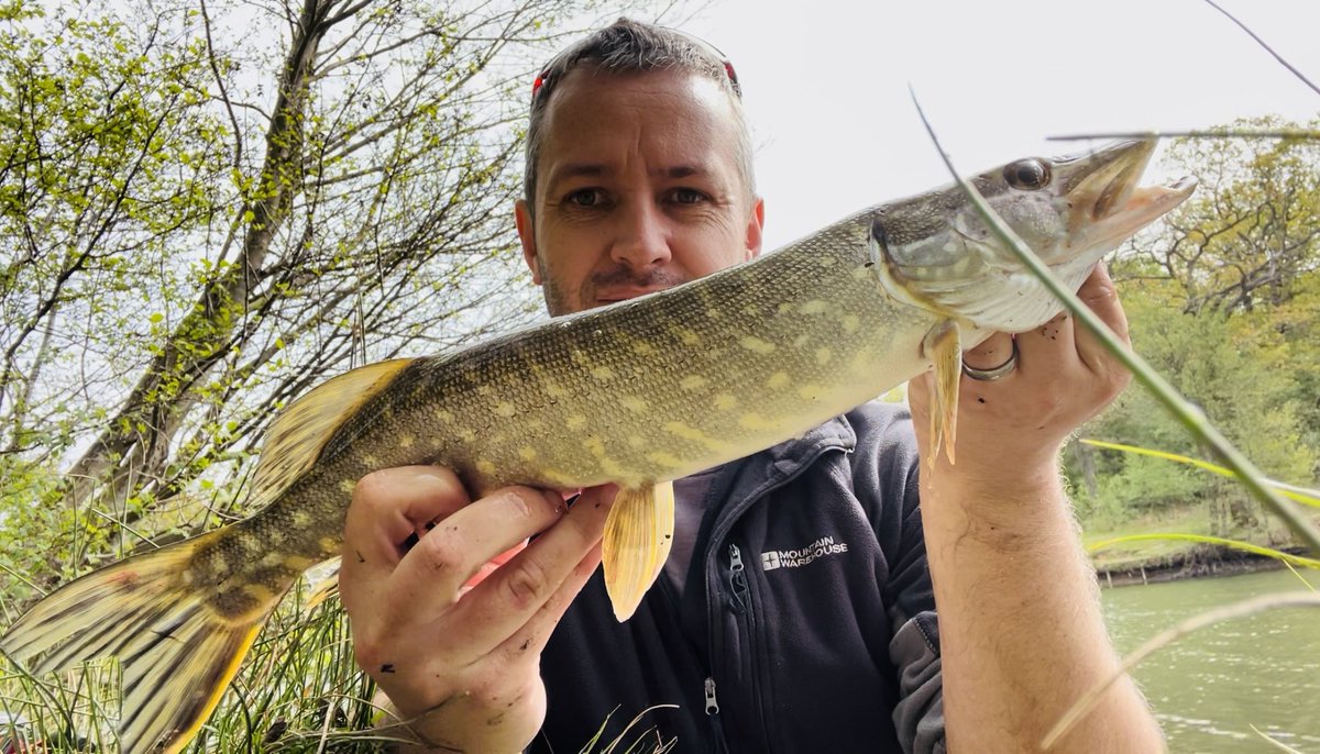 pete_caine's tweet photo. An hour here and there between school runs and shifts. #pike #perch #lures #forestofdean #Fishing😎🎣🎣 https://t.co/Cukkt71iHD