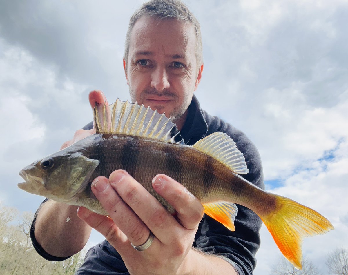 pete_caine's tweet photo. An hour here and there between school runs and shifts. #pike #perch #lures #forestofdean #Fishing😎🎣🎣 https://t.co/Cukkt71iHD