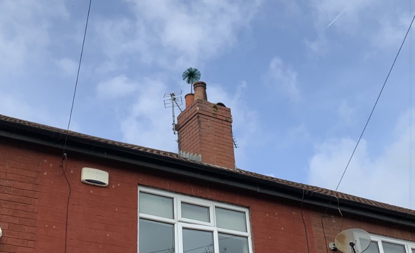 mr_soot's tweet photo. Chimney capped in #Reddish this afternoon after we removed a bird from the flue last week #completeservice #chimneysweep #birdguard #Stockport https://t.co/Nl2Nq7chKd