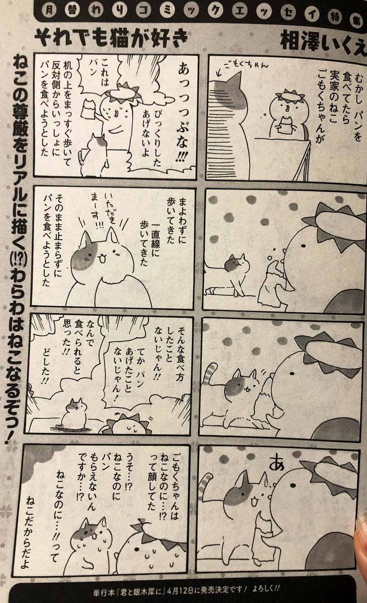 あと、今日だけこっちも公開しちゃお。実家に昔いた猫と、友達の家の話です。まんがタウンに載せていただいたエッセイです!
これは銀木犀のカバー下にもなってます!
2枚目の脇の、『ごもくちゃんもだっちゃんも「そんげん」があるのだにんげんたちよ!』が好きです。 