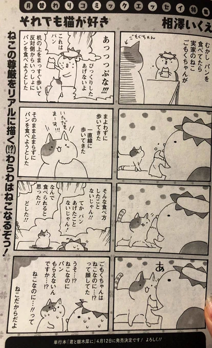 あと、今日だけこっちも公開しちゃお。実家に昔いた猫と、友達の家の話です。まんがタウンに載せていただいたエッセイです!
これは銀木犀のカバー下にもなってます!
2枚目の脇の、『ごもくちゃんもだっちゃんも「そんげん」があるのだにんげんたちよ!』が好きです。 