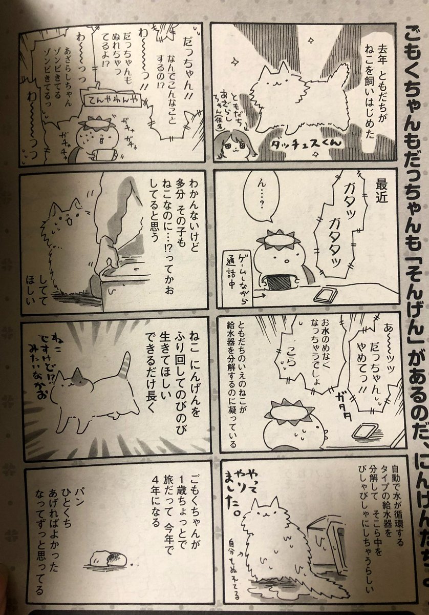 あと、今日だけこっちも公開しちゃお。実家に昔いた猫と、友達の家の話です。まんがタウンに載せていただいたエッセイです!
これは銀木犀のカバー下にもなってます!
2枚目の脇の、『ごもくちゃんもだっちゃんも「そんげん」があるのだにんげんたちよ!』が好きです。 