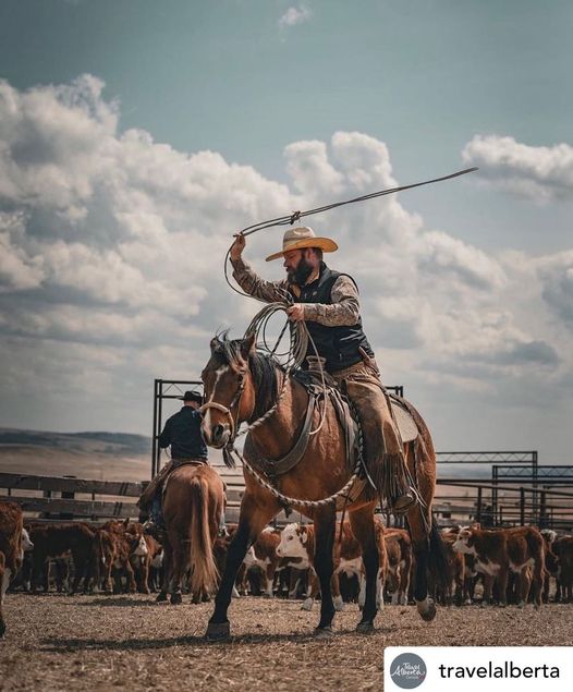 Repost from @travelalberta mentioning the #ranchlife that’s right here in Southern Alberta's backyard for you to experience!🐴
- @rockingrguestranch 
- @heritage_ranch 
- @wildhorse_ranch 
- @mckenzies_trails_west 
- @boundaryranch
Photo by <a href="/wildrose/">K.Matsuda</a>.imagery #ExploreAlberta