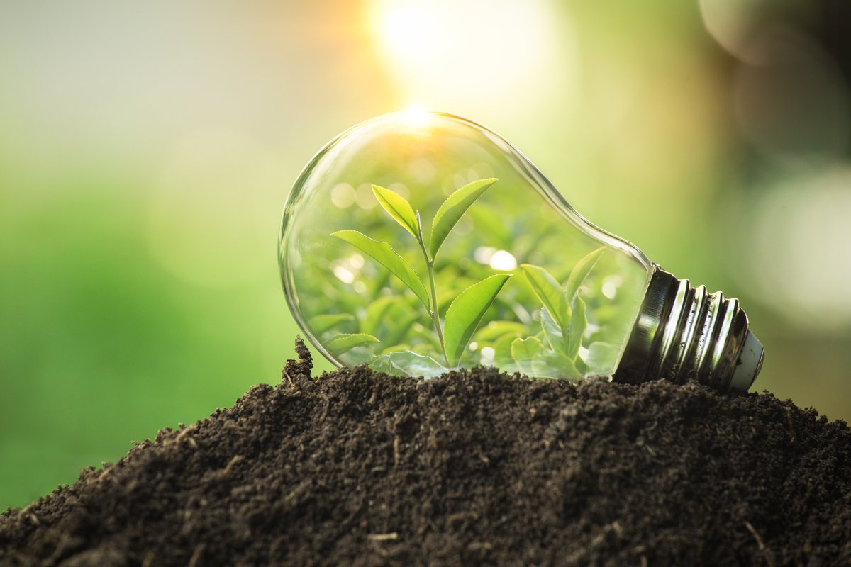KT_Associates's tweet photo. We are committed in our approach to net zero, wellbeing and building a brighter #sustainable future 🌳 we ensure to provide services that are designed to WELL building standards for a healthier building environment.

Head to our website to find out more:♻️https://t.co/efgKzDEM8o https://t.co/abnP2Mrfup