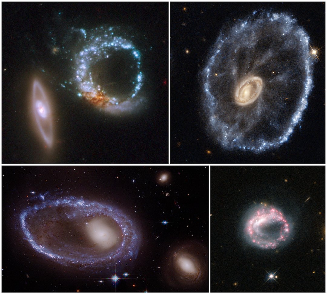💍 Ring galaxies are thought to form when a smaller galaxy punches through a larger galaxy at just the right angle. The beautiful ring is made of newly formed stars sparked by the gas and dust pushing outward from the collision. #MondayMotivation